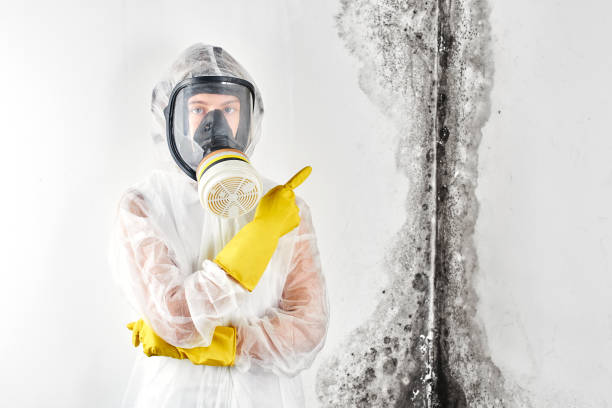 Mold Remediation for Rental Properties in East Rockaway, NY